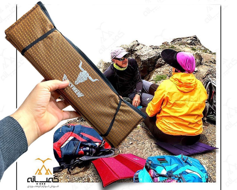 خصوصیات ظاهری زیر باسنی پکینیو